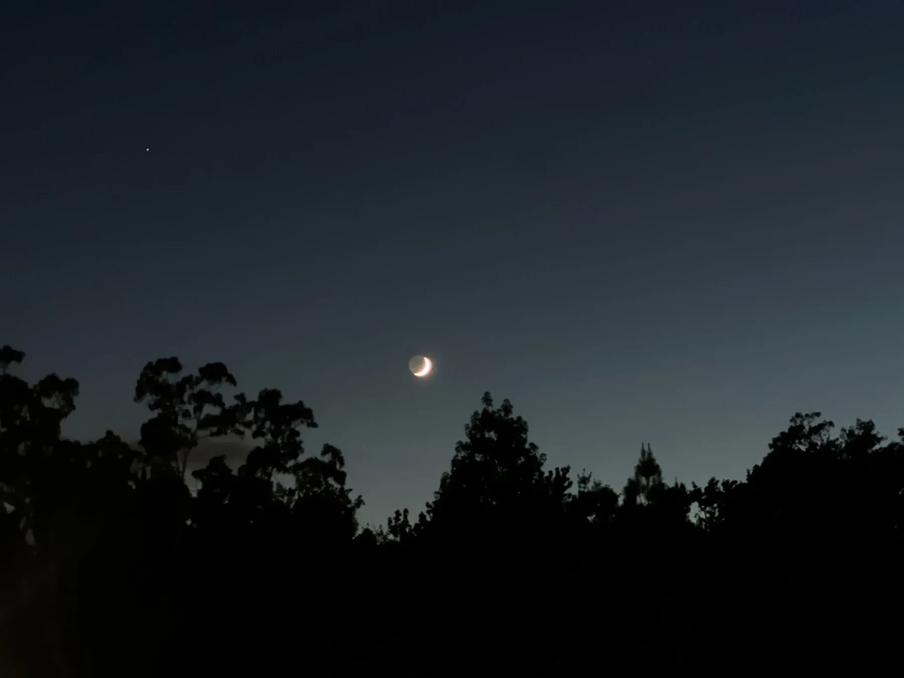A crescent moon above silhouetted trees