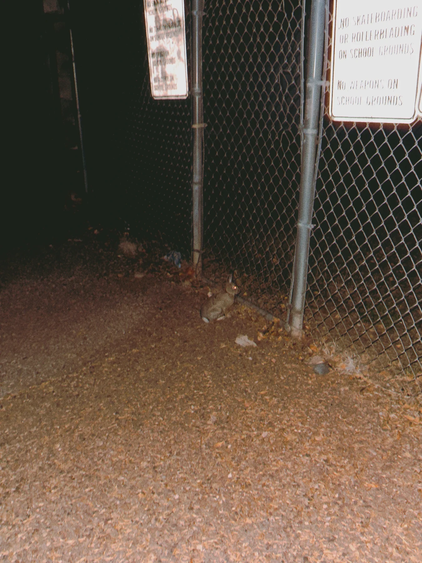 Chain-link gate under a light at night