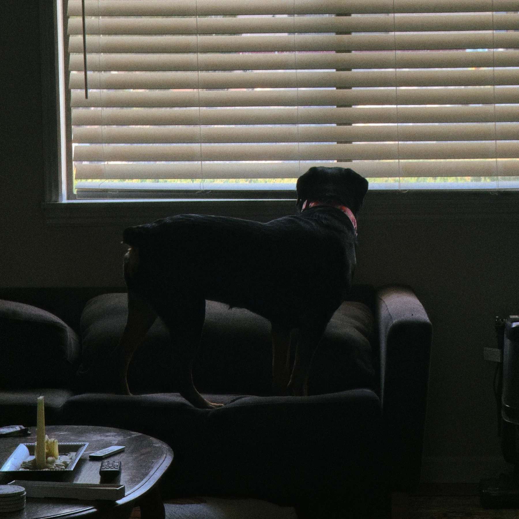 A figure seated beside a window with blinds